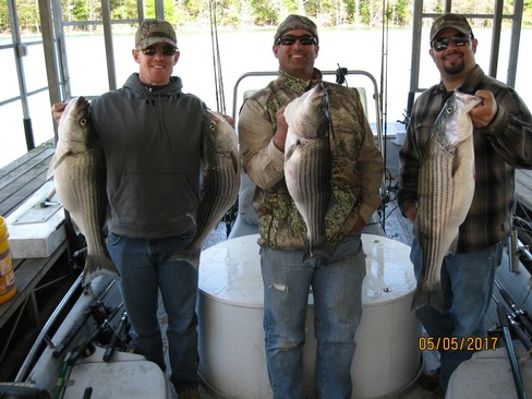 Nice Striped Bass
